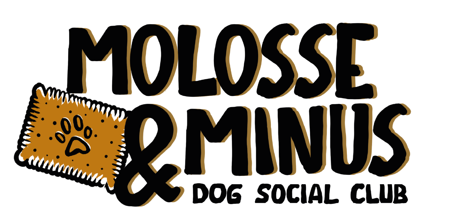 Molosse & Minus